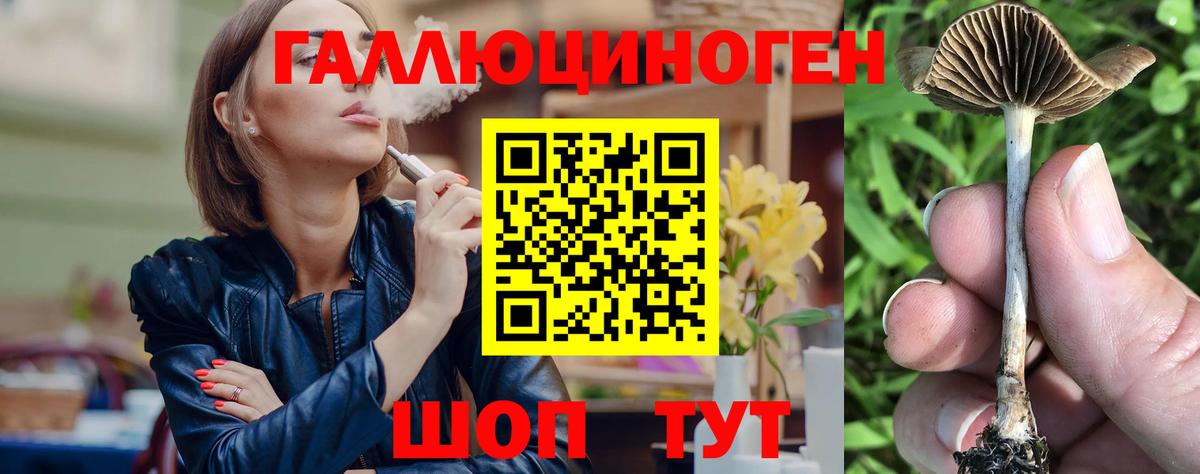 Псилоцибиновые грибы GOLDEN TEACHER Амурск